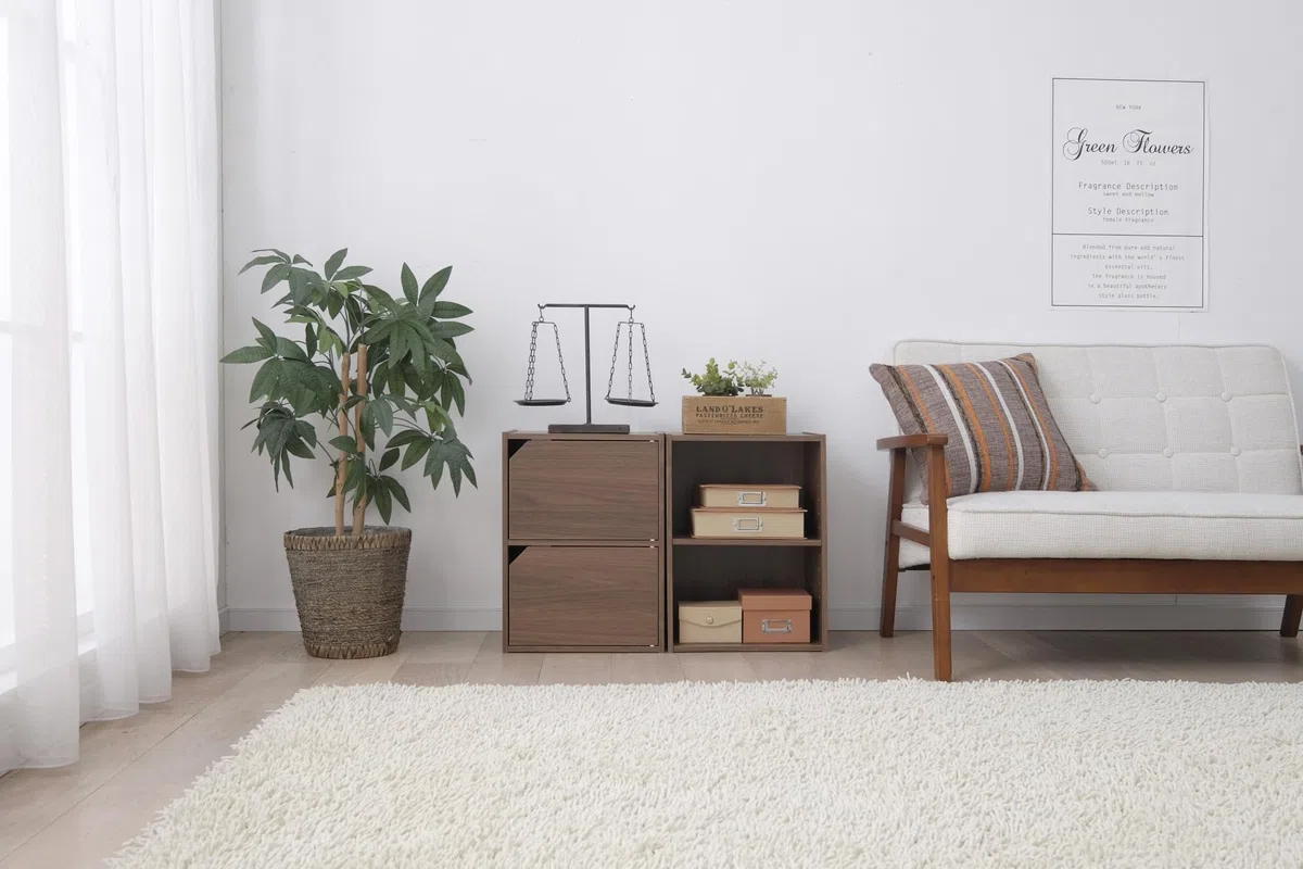Iris Ohyama, Libreria portaoggetti, Armadio con 2 ante e 2 ripiani, Facile montaggio, Design, Modulare, Ufficio, Camera da letto, Soggiorno - Module Shelf MDB-2D - Marrone