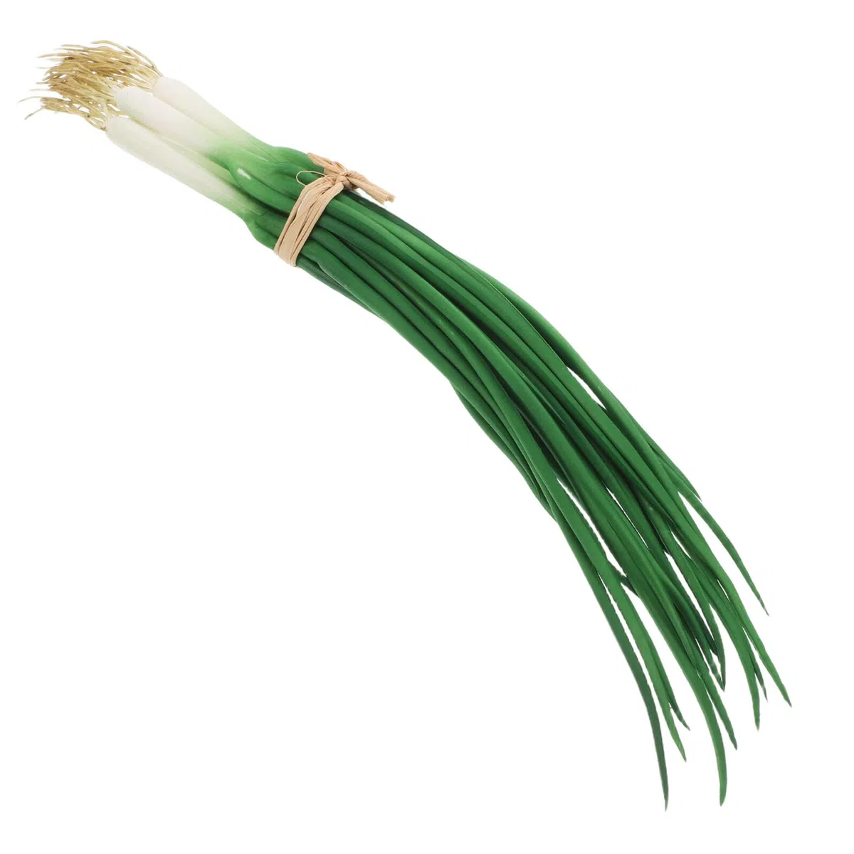 Cipolle Verdi Finte Realistiche in Schiuma e Plastico per Decorazione Cucina e Oggetti di Scena Fotografici Design Elegante e Atmosfera Vivace
