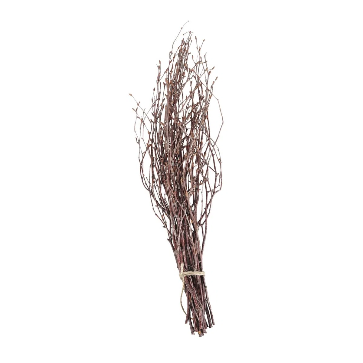 DOITOOL 10 Pezzi Rami di Betulla Secchi Decorativi in Legno Marrone 40 Cm per Decorazione Rustica Casa e Accessori Fotografici