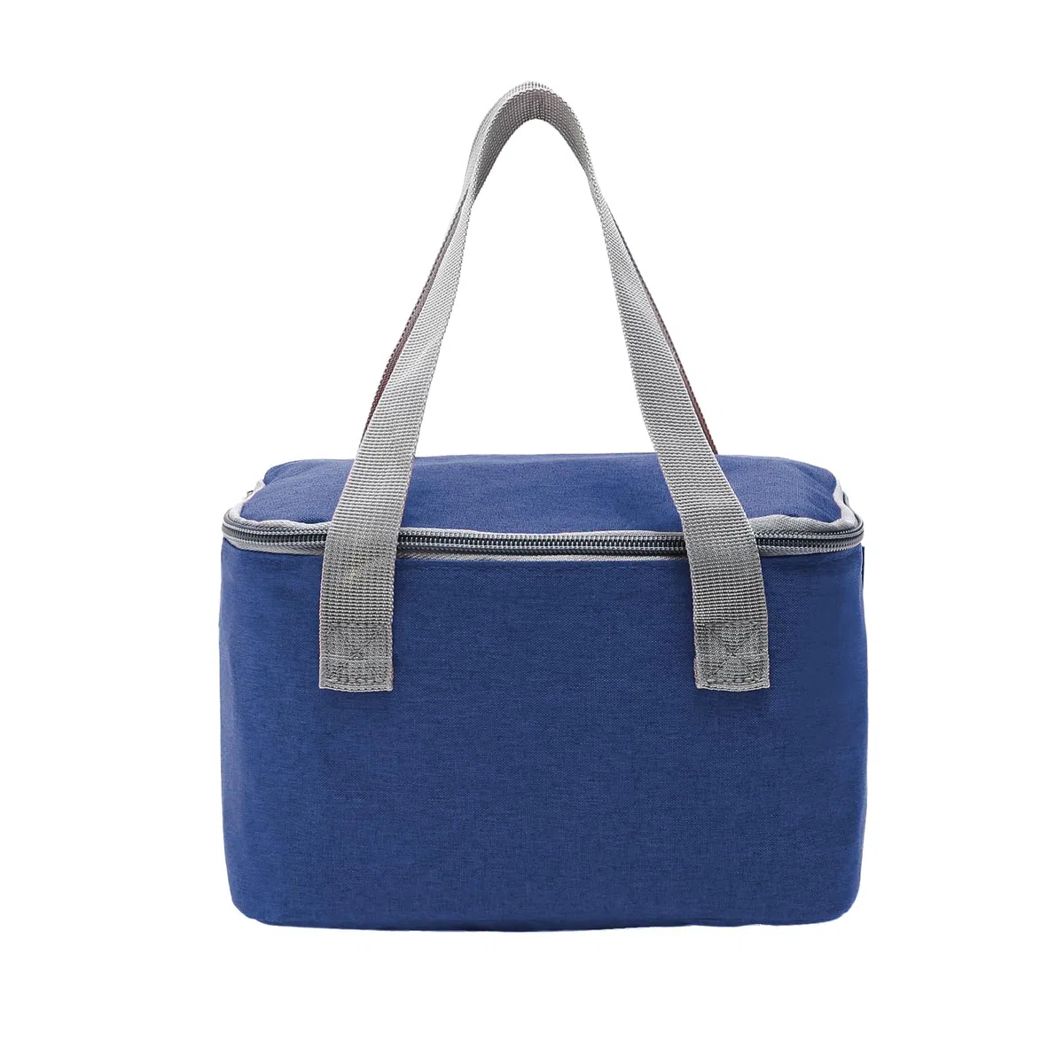 Nanxson Borsa Termica Porta Pranzo, 4L Mini Borsa Frigo Piccola Riutilizzabile Portatile Borsa Termica Pranzo al Sacco per Lavoro, Ufficio, Scuola, Picnic, Viaggi (4L,Blu Reale)