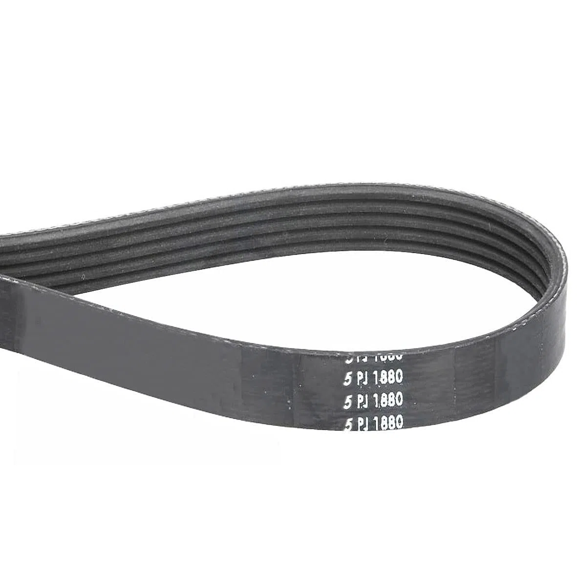 1880 PJ5 Cinghia Compatibile con Miele 5689130 1880 PJ 5 1880PJ5 Cinghia Trapezoidale Cinghia