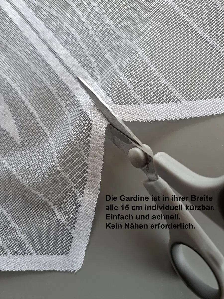 Tendina Swing, Kurzstore, tenda da bistrò, panneaux, altezza 50 x larghezza 160 cm, trasparente (bianco, 50 x 160)