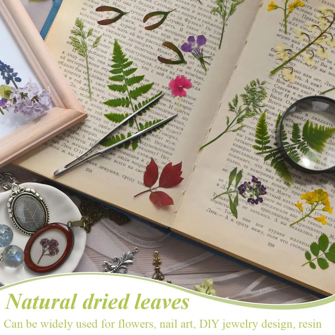36 Pezzi Foglie Secche, Foglie Secche Naturali, Foglie vere Essiccate Pressate, Verde Essiccato Naturale Assortito per Resina, Candele, Gioielli, Sapone, Artigianato, Decorazioni