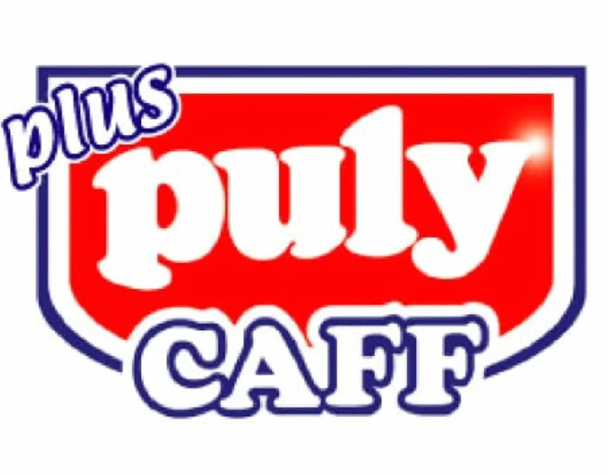 Pulitore di gruppo PULY CAFF PLUS 370 g