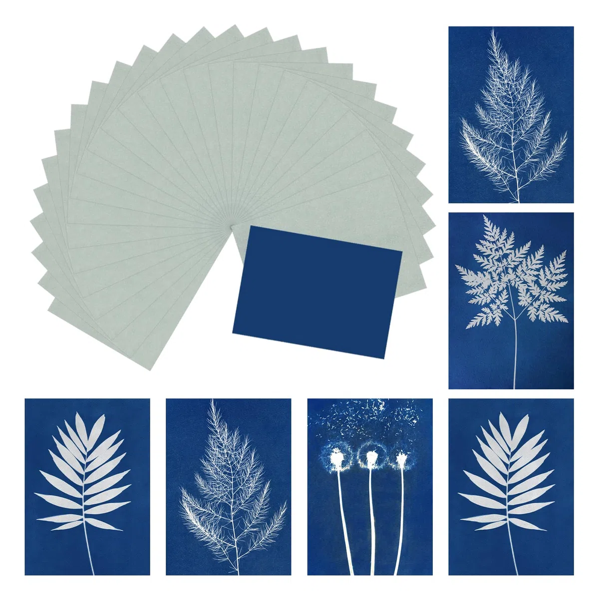 QUARKZMAN Carta cianotipica, kit da 36 fogli di carta per stampa solare, carta solare ad alta sensibilità, carta artigianale blu per adulti, progetto fai da te, arte, 11,7x8,3" (A4)