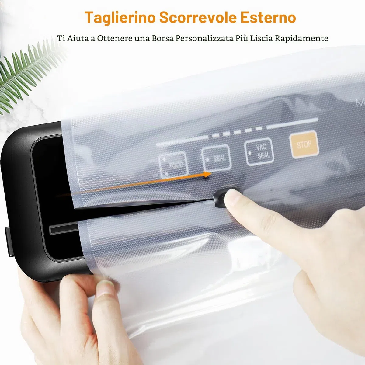 MegaWise Conservatore di Cibo Sottovuoto | 80kPa | Sacchetti e Taglierina | Macchina Automatica per Sigillare Alimenti | Modalità Secco Umido Fresco | Per Tutte le Esigenze di Conservazione