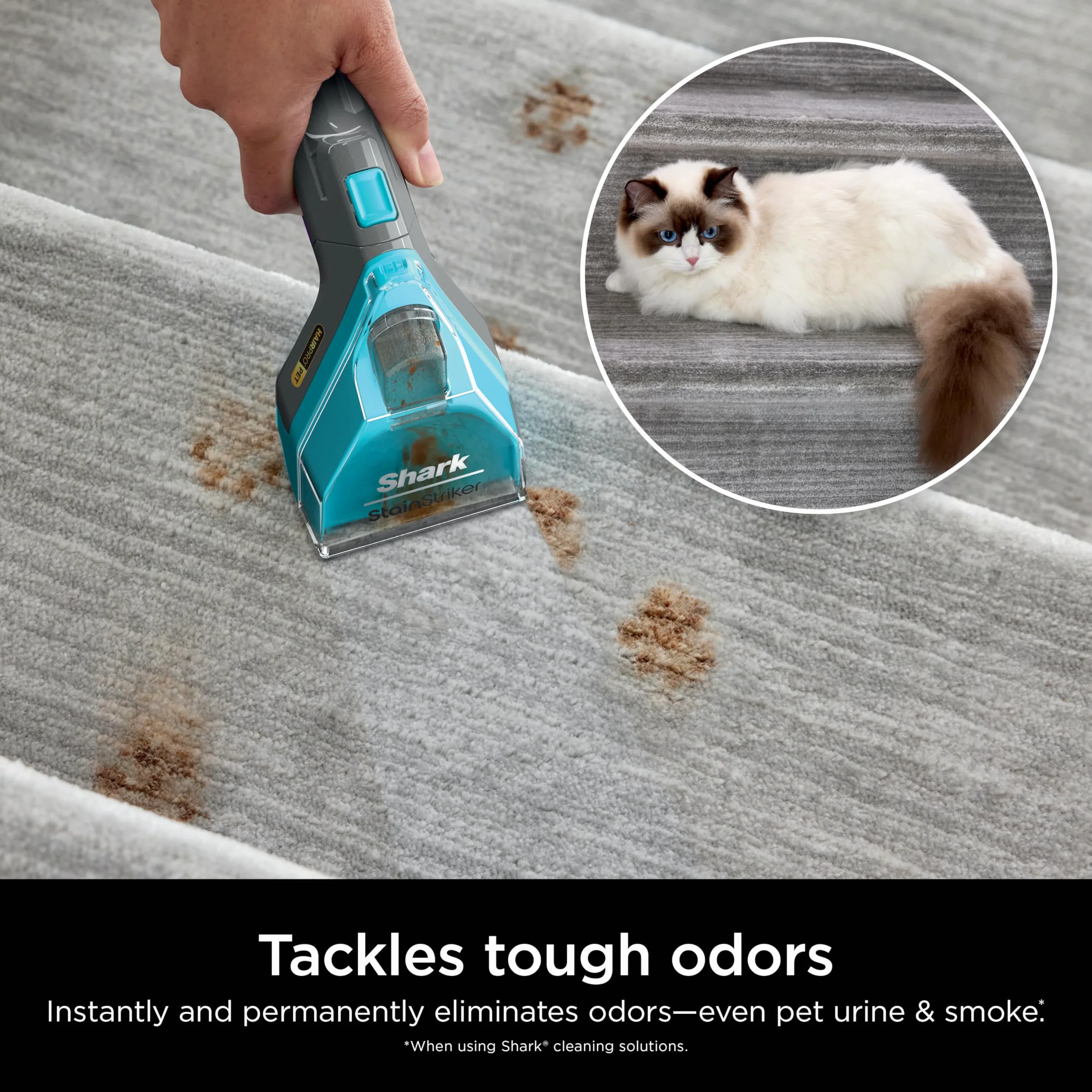 Shark EXCM48 CarpetXpert Deep Clean Pro Formula per detergenti Shark per tappeti verticali e portatili, formulata per tutti i tappeti, tappezzeria e tappeti, elimina i disordini e gli odori degli