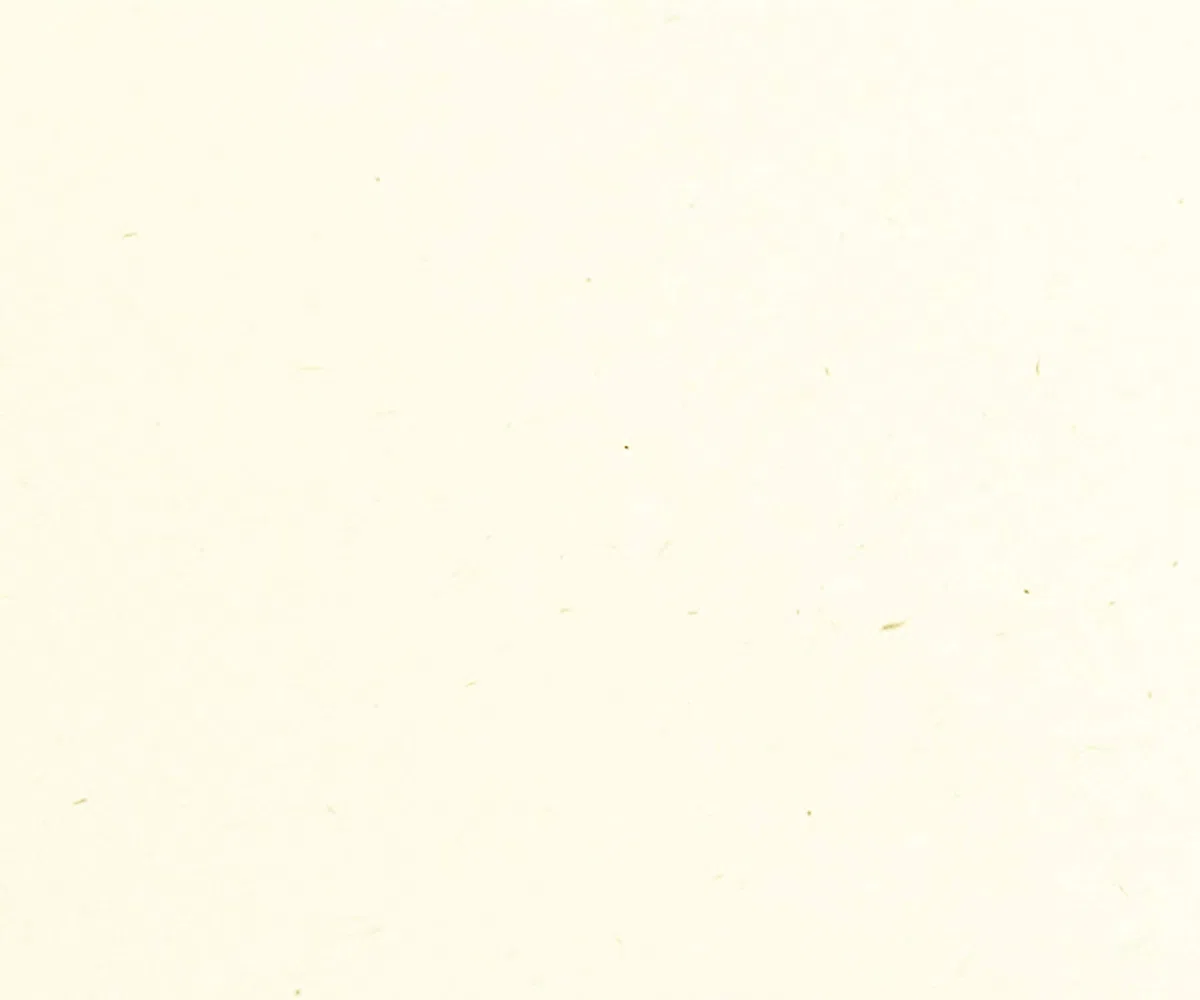 Febio 40 Fogli A4 Betulla Refill Ricarica per Album Scrapbooking - cartoncino 225 gr