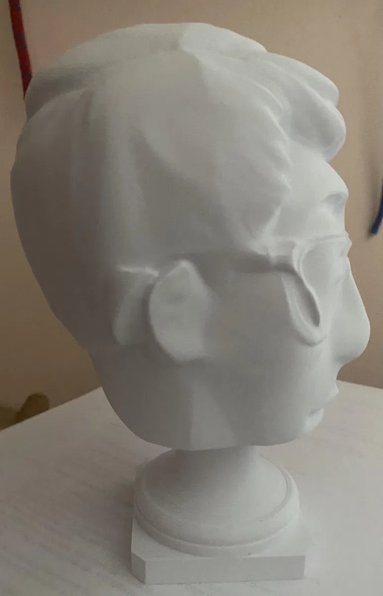 Busto 3D Personalizzato in Materiale Atossico, Stampa 3D di Persone e Animali, 20 x 20 x 35 cm, Bianco