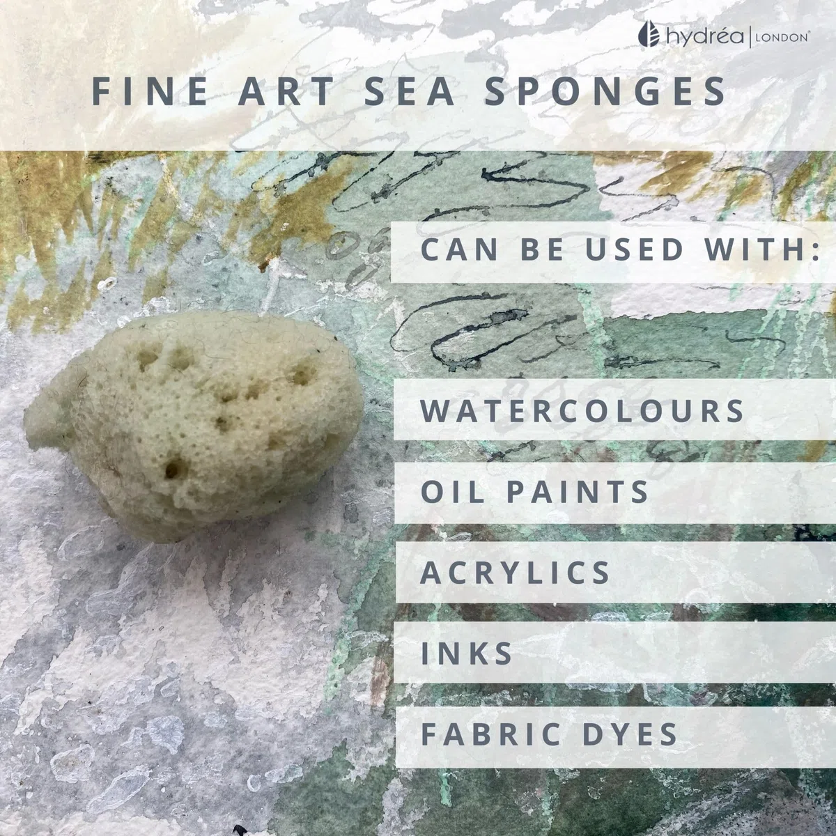 Hydrea London Kit di spugne naturali per pittura artistica, da fine a larga, set di spugne per arte e artigianato, pittura, ceramica, ceramica, decorazione, spugna, belle arti