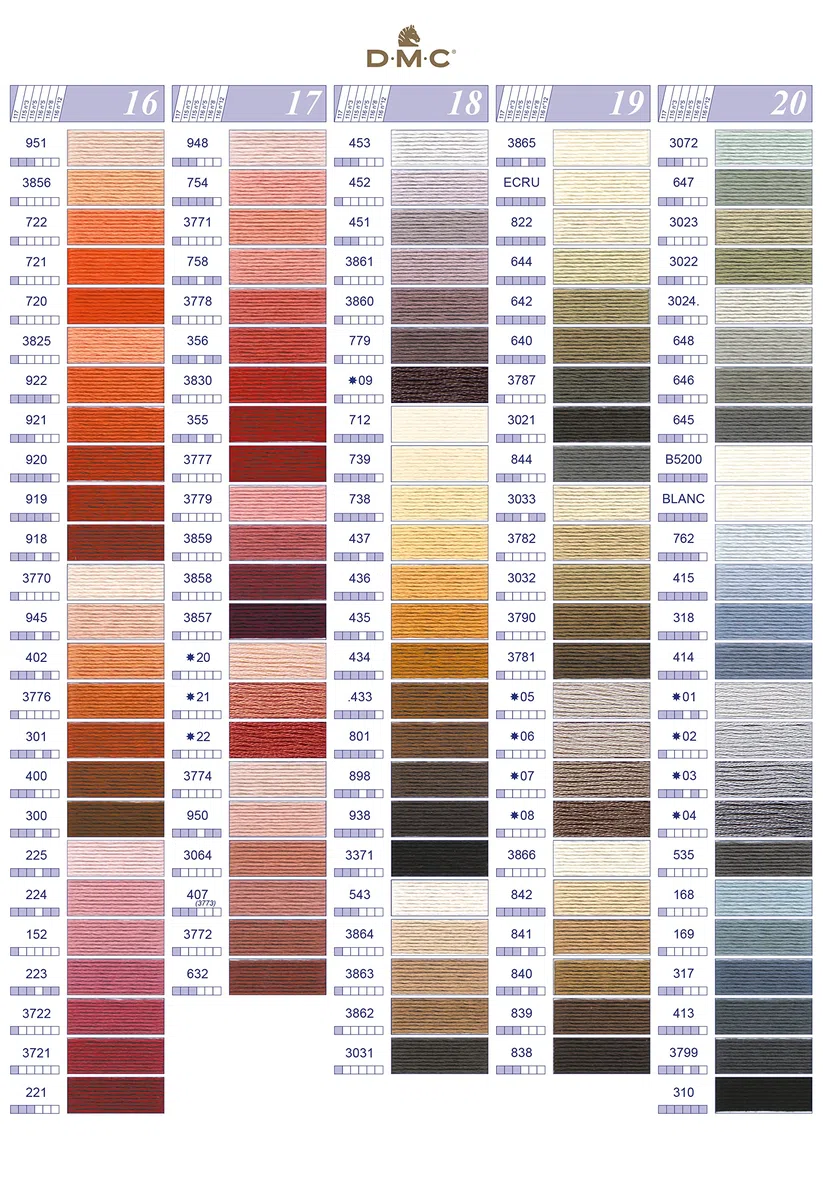 DMC - Cartella colori stampata 500 colori Mouliné + Perlé, accessorio indispensabile