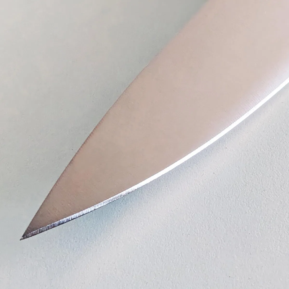 Ambrogio Sanelli, Maitre Coltello da Cucina Trinciante, Coltello Chef con Lama in Acciaio Inox all'Azoto 24 cm e Manico Ergonomico, Coltelli da Cucina Professionali, Made in Italy