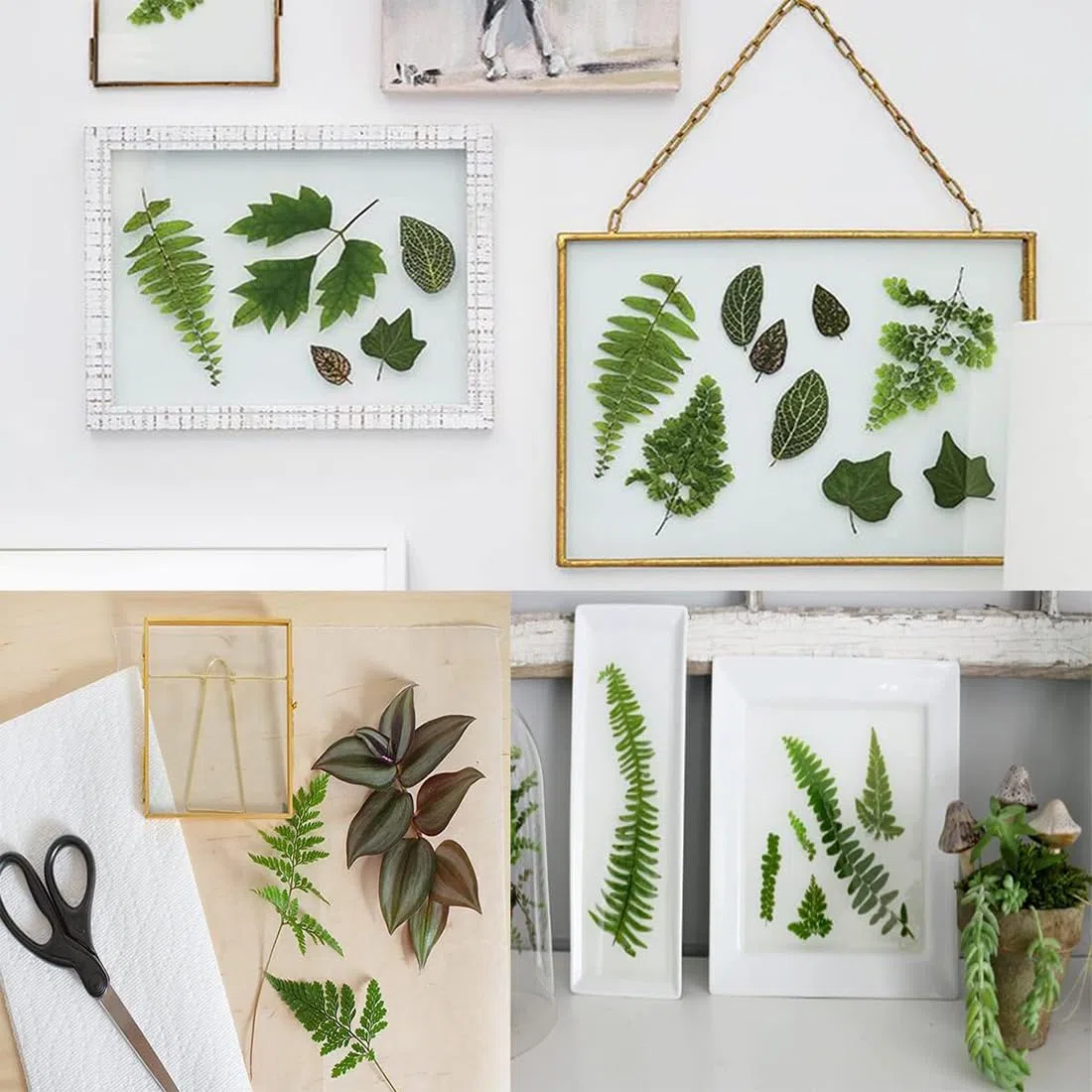 36 Pezzi Foglie Secche, Foglie Secche Naturali, Foglie vere Essiccate Pressate, Verde Essiccato Naturale Assortito per Resina, Candele, Gioielli, Sapone, Artigianato, Decorazioni