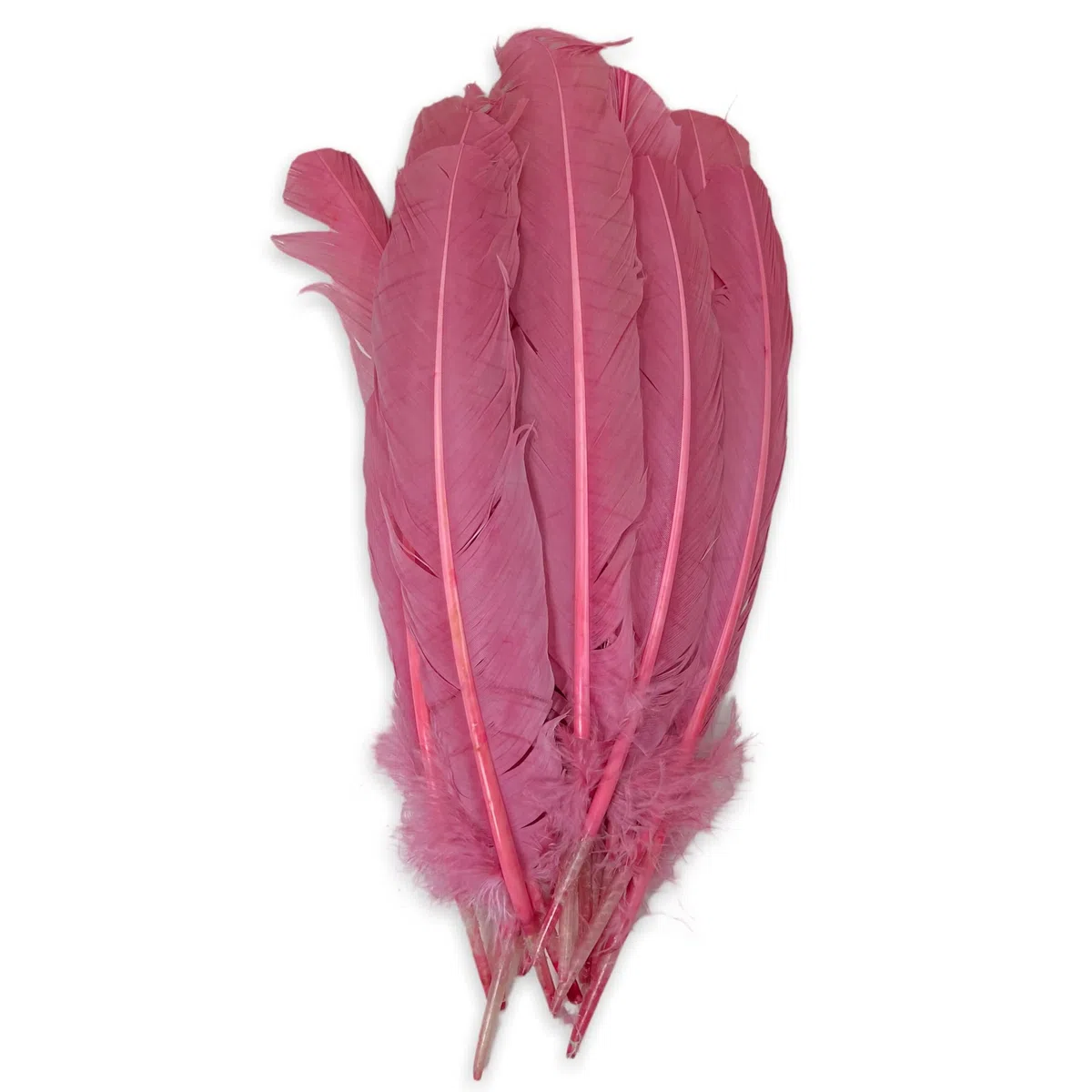 Set di piume vere, piume decorative, decorazioni per matrimoni, Natale, artigianato, maschere, costumi di Halloween e carnevale