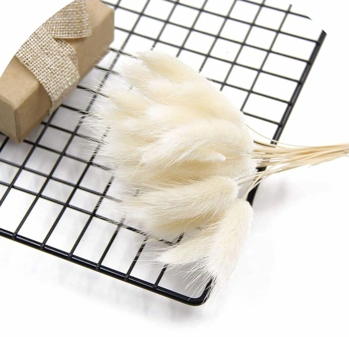 Piccola Erba Secca di Pampa,Coda di Coniglio Essiccata Mazzi di Erba 30 PCS Coda di Coniglio Pampa Erba Secca Naturale Fiore Artificiale per Matrimonio Decorazione D'interni Domestica Giardino Festa
